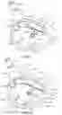 Fig. 07 - Golf club head