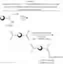 Fig. 08 - Crosslinked polysaccharide based absorbents for removal of anti-A and/or anti-B antibodies from human plasma and whole blood