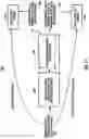 Fig. 12 - Systems and methods for sensor data packet processing and spatial memory updating for robotic platforms