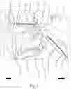 Fig. 02 - Optical system for interior lighting of a vehicle