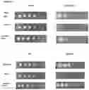 Fig. 11 - METHODS FOR AGGREGATION OF PROTEINS