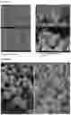 Fig. 22 - METHODS FOR AGGREGATION OF PROTEINS