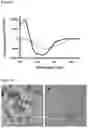 Fig. 41 - METHODS FOR AGGREGATION OF PROTEINS