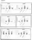 Fig. 67 - METHODS FOR AGGREGATION OF PROTEINS
