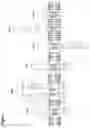 Fig. 02 - ANTIGEN RECEPTORS AND USES THEREOF
