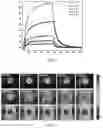 Fig. 05 - GENE TRANSFECTION SYSTEM AND METHOD
