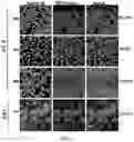 Fig. 06 - GENE TRANSFECTION SYSTEM AND METHOD