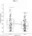 Fig. 02 - EPIGENETIC METHOD TO ASSESS SUN PROTECTION