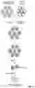 Fig. 02 - Treating Atopic Dermatitis by Targeting the WNT Pathway
