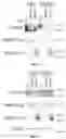 Fig. 09 - Treating Atopic Dermatitis by Targeting the WNT Pathway