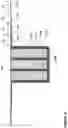 Fig. 08 - PET FOAM STRUCTURAL INSULATED PANEL FOR USE IN RESIDENTIAL CONSTRUCTION AND CONSTRUCTION METHOD ASSOCIATED THEREWITH