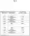 Fig. 07 - Information processing method, non-transitory recording medium, and information processing apparatus