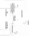 Fig. 06 - Method for web-based distribution of targeted advertising messages