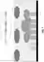Fig. 02 - Systems and methods for the application of adaptive video watermarks