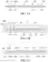 Fig. 02 - Semiconductor package and method of fabricating the same