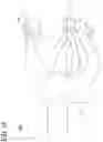 Fig. 14 - Lighting module, distance measuring device, movable body, and light source drive circuit