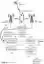 Fig. 02 - Mathematical Summaries of Telecommunications Data for Data Analytics