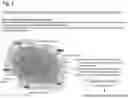 Fig. 02 - Method of Producing Iodine-Supporting Composite Material