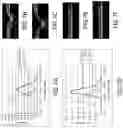 Fig. 08 - Method and apparatus for the non-invasive measurement of tissue function and metabolism by determination of steady-state fluorescence anisotropy