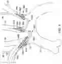 Fig. 09 - Systems and methods for protecting the cerebral vasculature