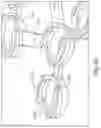 Fig. 42 - BRACE OR SUPPORT WITH ATFL SUPPORT