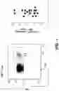 Fig. 02 - MATERIALS AND METHODS FOR PRODUCING BIOENGINEERED VIRUS SPECIFIC LYMPHOCYTES