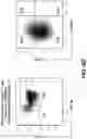 Fig. 09 - MATERIALS AND METHODS FOR PRODUCING BIOENGINEERED VIRUS SPECIFIC LYMPHOCYTES