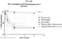 Fig. 33 - Compositions and methods of treating muscle atrophy and myotonic dystrophy