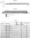 Fig. 47 - Compositions and methods of treating muscle atrophy and myotonic dystrophy
