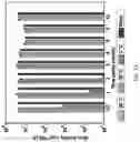 Fig. 22 - COMPOSITIONS AND METHODS FOR TRANSFECTING CELLS