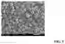 Fig. 06 - CORE-SHELL MICRO-FOAMING AGENTS OF UNIFORM SIZE FOR FOAMED PLASTICS WITH ENHANCED MECHANICAL STRENGTH