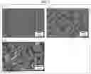 Fig. 02 - Hexagonal boron nitride powder, resin composition, resin sheet, and method for producing hexagonal boron nitride powder