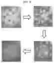 Fig. 03 - Method for manufacturing monocrystalline graphene