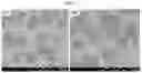 Fig. 06 - Method for manufacturing monocrystalline graphene