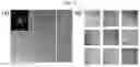 Fig. 08 - Method for manufacturing monocrystalline graphene