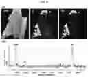 Fig. 10 - Method for manufacturing monocrystalline graphene