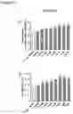Fig. 09 - SRC INHIBITOR COMPOUNDS FOR SKELETAL MUSCLE MODULATION, METHODS AND USES THEREOF