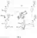 Fig. 02 - Quinone methide analog signal amplification