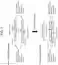 Fig. 02 - METHOD FOR PRODUCING MODIFIED OLIGONUCLEOTIDE COMPRISING COMPLEMENTARY PORTION