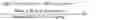 Fig. 03 - MITOCHONDRIA-TARGETING PEPTIDES