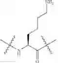 Fig. 167 - Analogs that target mitochondrial diseases