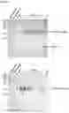 Fig. 05 - Polypeptide and its use in affinity purification