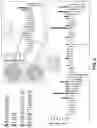 Fig. 06 - TLR9-TARGETED THERAPEUTICS