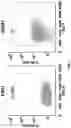 Fig. 09 - TLR9-TARGETED THERAPEUTICS