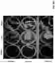 Fig. 49 - TLR9-TARGETED THERAPEUTICS