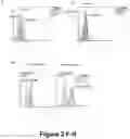 Fig. 07 - ENGINEERED T-CELL MODULATING MOLECULES AND METHODS OF USING SAME
