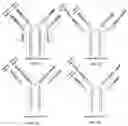 Fig. 02 - Antibody molecules comprising a single-domain antigen-binding site and Fab fragments