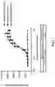 Fig. 08 - Antibody molecules comprising a single-domain antigen-binding site and Fab fragments