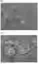 Fig. 02 - Resin Composition and Multilayered Structure Using Same