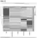 Fig. 13 - MULTIPOTENT ADULT STEM CELLS: CHARACTERIZATION AND USE